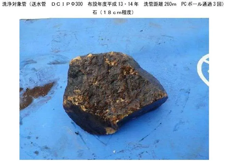 洗管により排出された長さ18cm程度の大きな石の写真