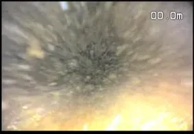 管内カメラで撮影した、浮遊物と堆積物が見られる管の内部